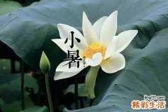 小暑养生 民间吃“三宝”你知道是哪“三宝”吗