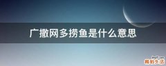 广撒网多捞鱼是什么意思