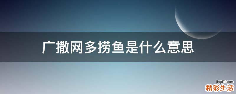 广撒网多捞鱼是什么意思