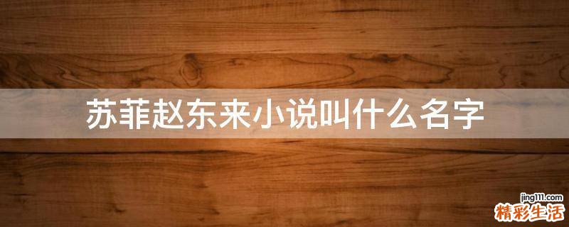苏菲赵东来小说叫什么名字