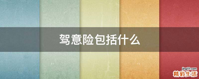 驾意险包括什么