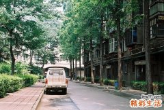 4 太极拳女人养颜健身的完美运动