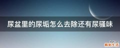 尿盆里的尿垢怎么去除还有尿骚味