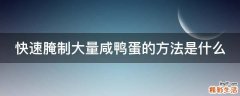 快速腌制大量咸鸭蛋的方法是什么