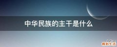 中华民族的主干是什么