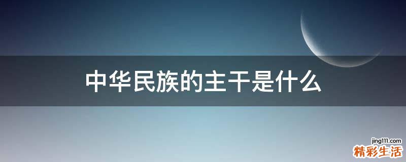中华民族的主干是什么