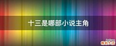 十三是哪部小说主角