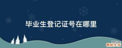 毕业生登记证号在哪里