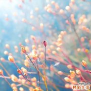 4 太极拳在生活中的实用价值