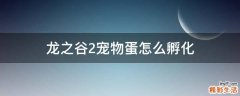 龙之谷2宠物蛋怎么孵化