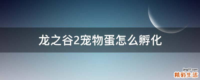 龙之谷2宠物蛋怎么孵化