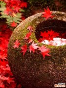 老人失眠有什么方法改善 帮助老人快速入睡的方法