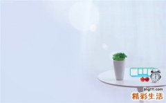 10 警惕女性亚健康 别让身体罢工
