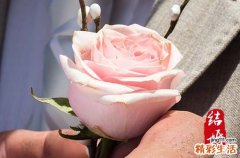 2023年结婚祝福语汇总