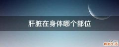 肝脏在身体哪个部位