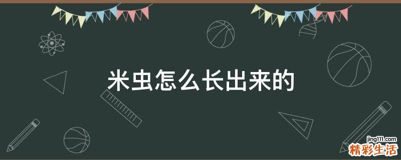 米虫怎么长出来的