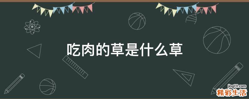 吃肉的草是什么草