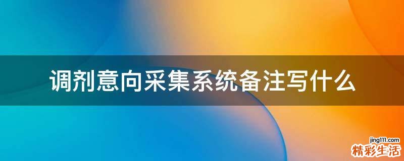 调剂意向采集系统备注写什么