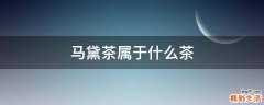 马黛茶属于什么茶