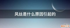 风丝是什么原因引起的