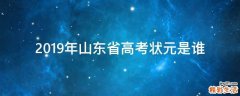 2019年山东省高考状元是谁