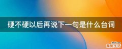 硬不硬以后再说下一句是什么台词