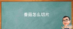 香菇怎么切片