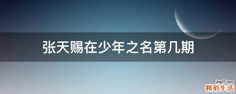张天赐在少年之名第几期