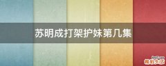 苏明成打架护妹第几集