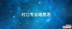 对口专业啥意思