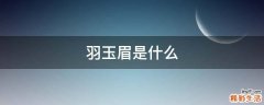 羽玉眉是什么