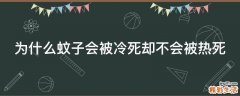 为什么蚊子会被冷死却不会被热死