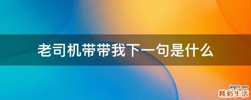 老司机带带我下一句是什么