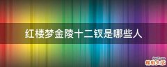 红楼梦金陵十二钗是哪些人