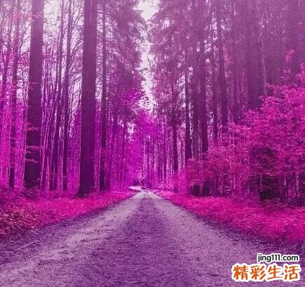 夏季减肥心得:8个轻松甩肉小妙招