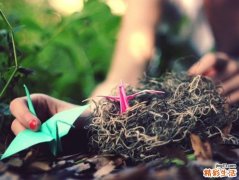 初生婴儿都需要些什么