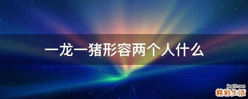 一龙一猪形容两个人什么