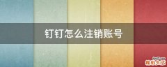 钉钉怎么注销账号