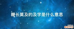 鞭长莫及的及字是什么意思