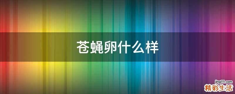 苍蝇卵什么样