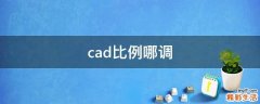 cad比例哪调
