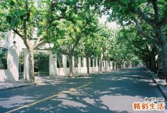 秦皇岛落水被救女孩家属道歉 网友质疑：21岁还在叛逆期