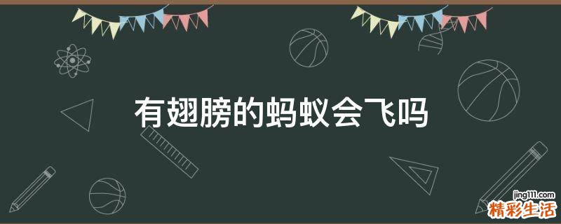 有翅膀的蚂蚁会飞吗