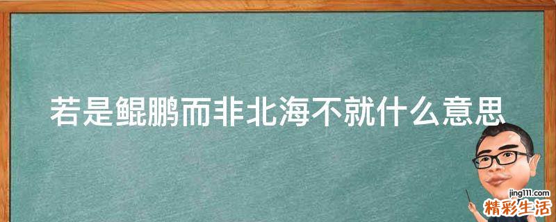 若是鲲鹏而非北海不就什么意思