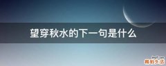 望穿秋水的下一句是什么