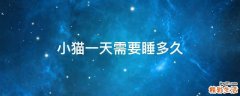 小猫一天需要睡多久