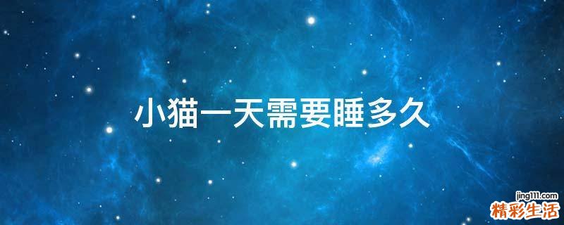 小猫一天需要睡多久