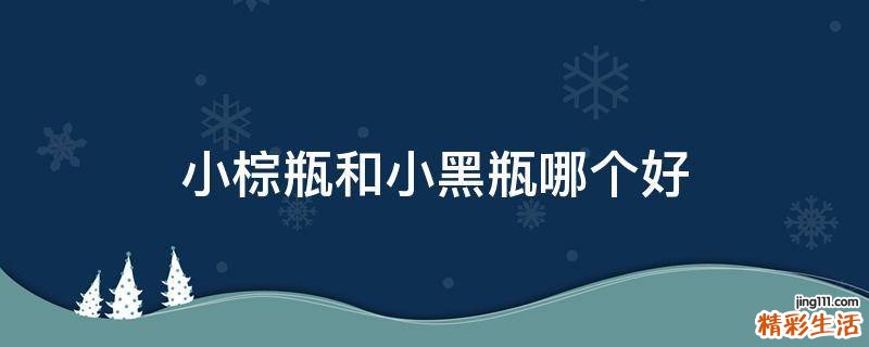 小棕瓶和小黑瓶哪个好