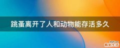 跳蚤离开了人和动物能存活多久