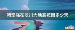 猪坚强在汶川大地震被困多少天